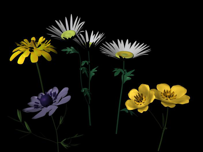 modélisation_fleurs